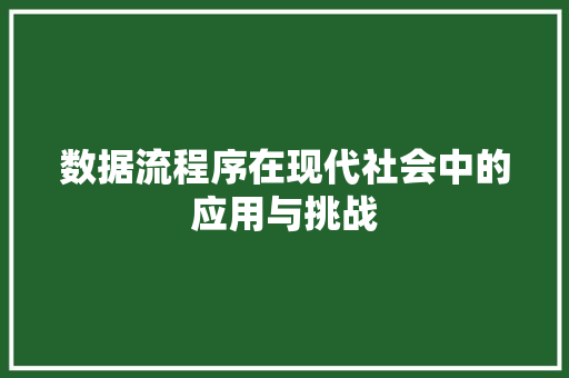 数据流程序在现代社会中的应用与挑战