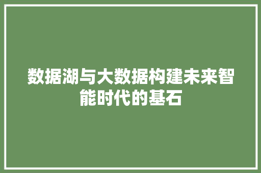 数据湖与大数据构建未来智能时代的基石