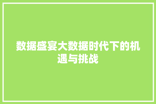 数据盛宴大数据时代下的机遇与挑战
