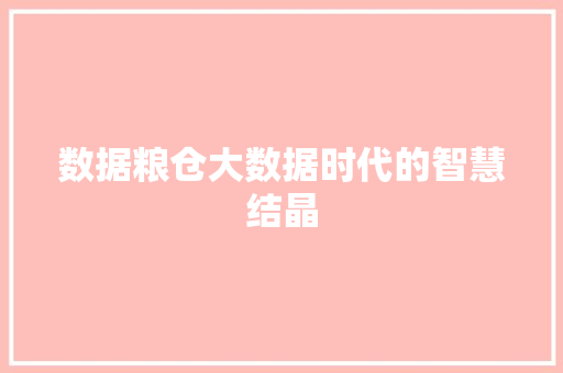 数据粮仓大数据时代的智慧结晶