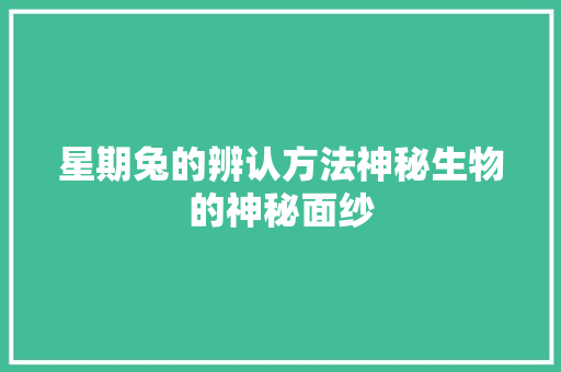 星期兔的辨认方法神秘生物的神秘面纱