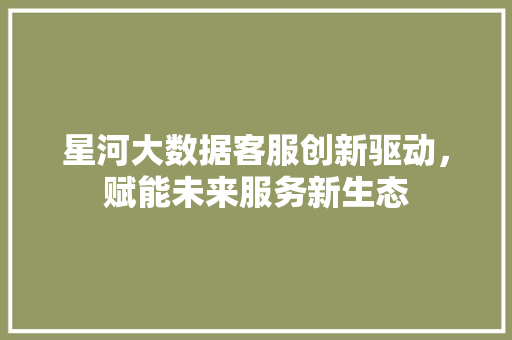 星河大数据客服创新驱动，赋能未来服务新生态
