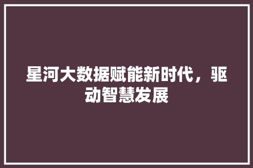 星河大数据赋能新时代，驱动智慧发展