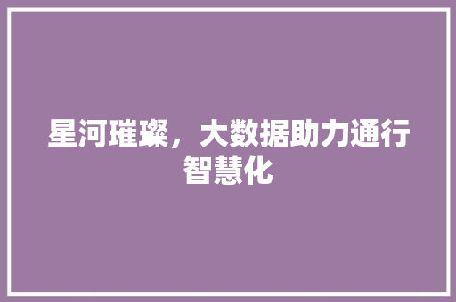 星河璀璨，大数据助力通行智慧化