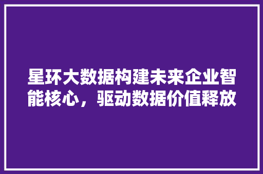星环大数据构建未来企业智能核心，驱动数据价值释放