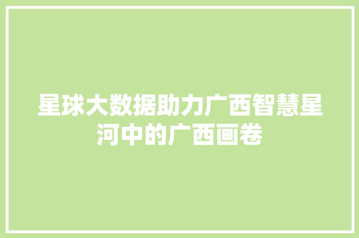 星球大数据助力广西智慧星河中的广西画卷