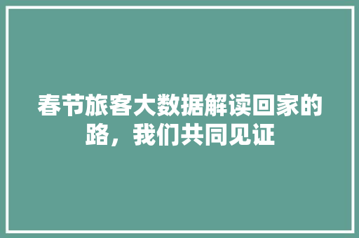 春节旅客大数据解读回家的路，我们共同见证