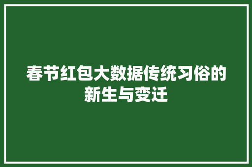 春节红包大数据传统习俗的新生与变迁