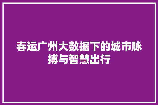 春运广州大数据下的城市脉搏与智慧出行