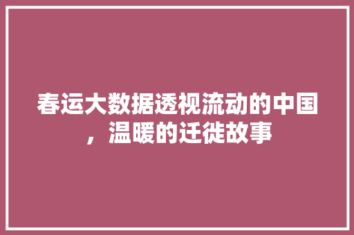 春运大数据透视流动的中国，温暖的迁徙故事