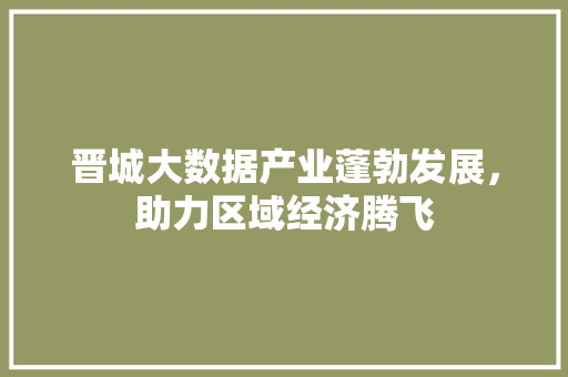 晋城大数据产业蓬勃发展，助力区域经济腾飞