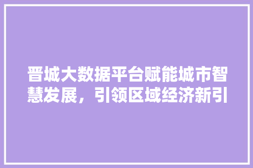 晋城大数据平台赋能城市智慧发展，引领区域经济新引擎