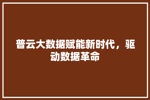 普云大数据赋能新时代，驱动数据革命