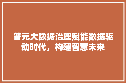 普元大数据治理赋能数据驱动时代，构建智慧未来