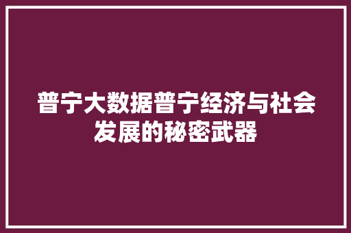 普宁大数据普宁经济与社会发展的秘密武器