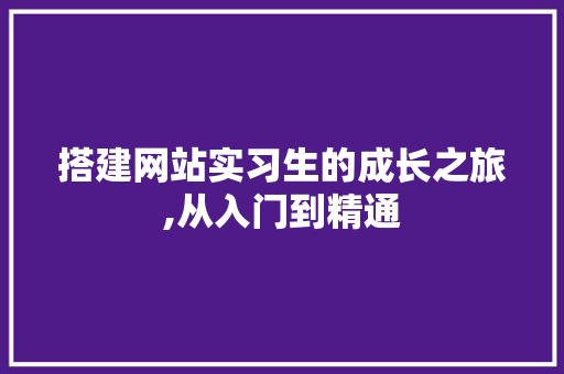 搭建网站实习生的成长之旅,从入门到精通