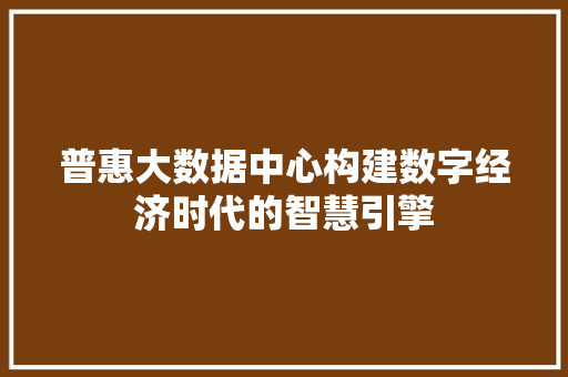 普惠大数据中心构建数字经济时代的智慧引擎