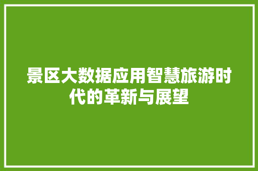 景区大数据应用智慧旅游时代的革新与展望