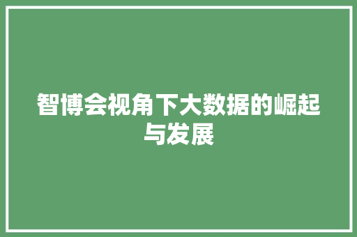 智博会视角下大数据的崛起与发展