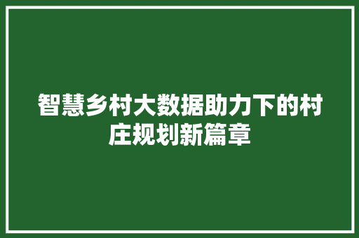 智慧乡村大数据助力下的村庄规划新篇章