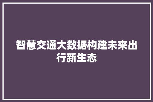 智慧交通大数据构建未来出行新生态
