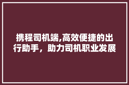 携程司机端,高效便捷的出行助手，助力司机职业发展