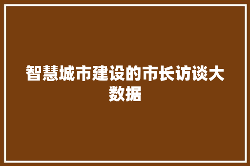 智慧城市建设的市长访谈大数据