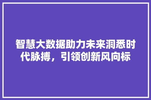 智慧大数据助力未来洞悉时代脉搏，引领创新风向标