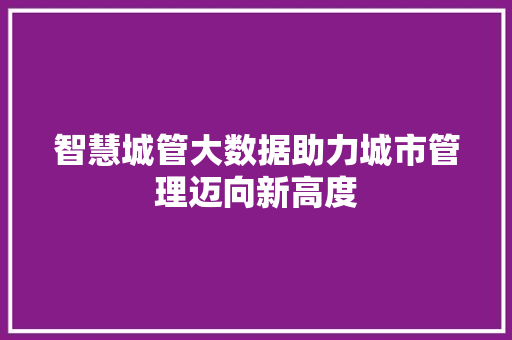 智慧城管大数据助力城市管理迈向新高度
