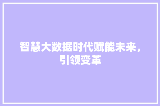 智慧大数据时代赋能未来，引领变革