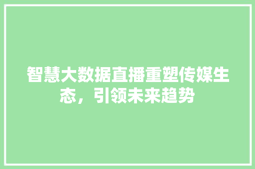 智慧大数据直播重塑传媒生态，引领未来趋势