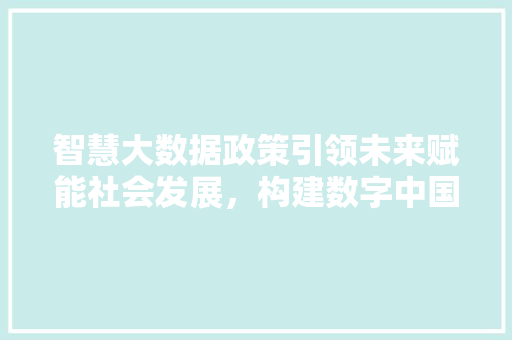 智慧大数据政策引领未来赋能社会发展，构建数字中国