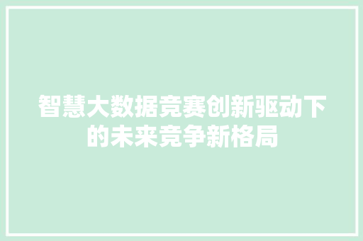 智慧大数据竞赛创新驱动下的未来竞争新格局