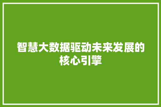 智慧大数据驱动未来发展的核心引擎