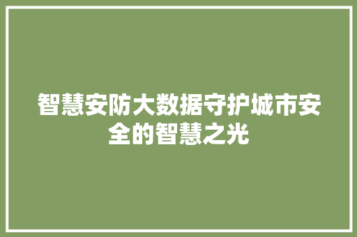 智慧安防大数据守护城市安全的智慧之光