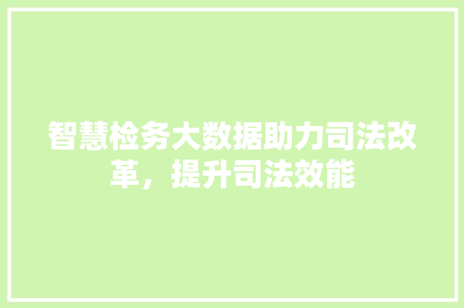 智慧检务大数据助力司法改革，提升司法效能