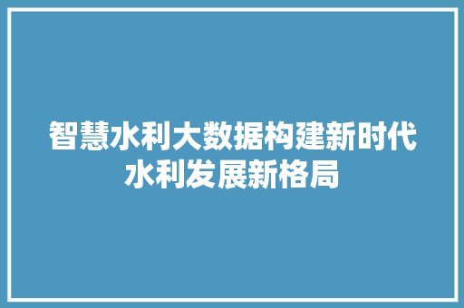 智慧水利大数据构建新时代水利发展新格局
