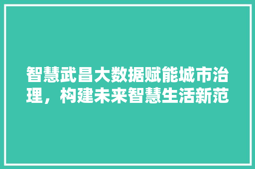 智慧武昌大数据赋能城市治理，构建未来智慧生活新范式
