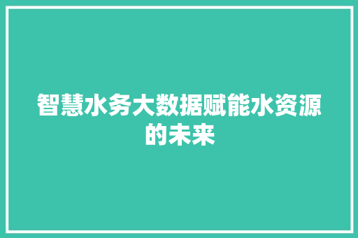 智慧水务大数据赋能水资源的未来