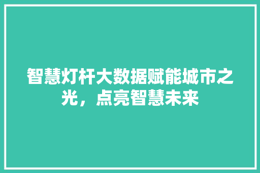 智慧灯杆大数据赋能城市之光，点亮智慧未来