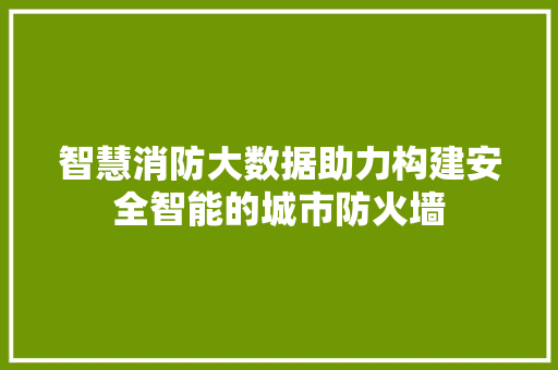 智慧消防大数据助力构建安全智能的城市防火墙