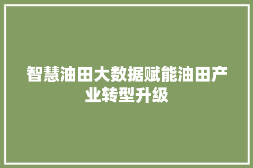 智慧油田大数据赋能油田产业转型升级