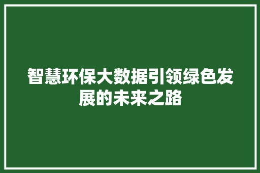 智慧环保大数据引领绿色发展的未来之路