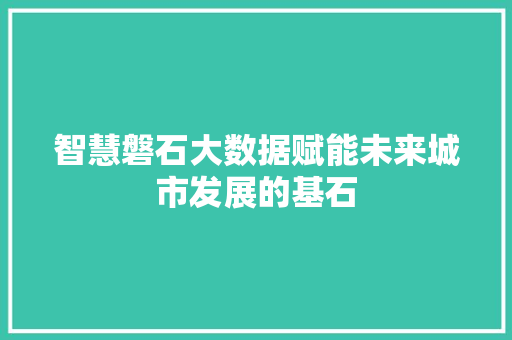 智慧磐石大数据赋能未来城市发展的基石