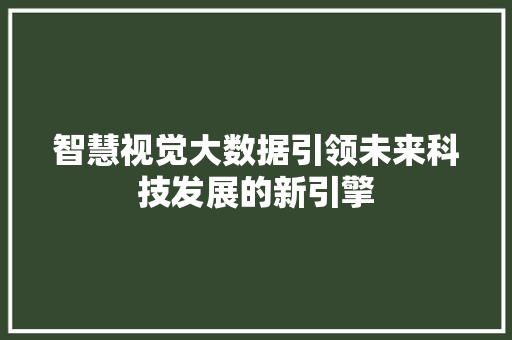 智慧视觉大数据引领未来科技发展的新引擎