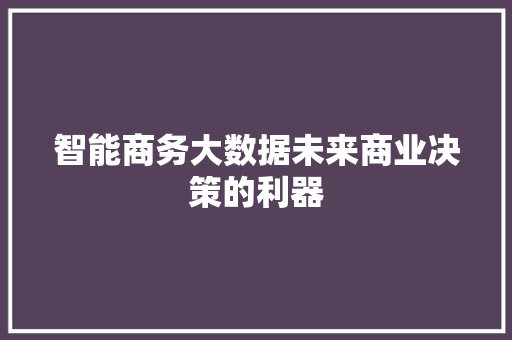 智能商务大数据未来商业决策的利器