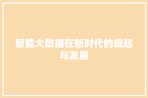 智能大数据在新时代的崛起与发展