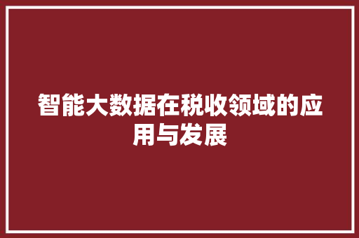 智能大数据在税收领域的应用与发展