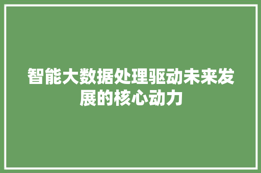 智能大数据处理驱动未来发展的核心动力