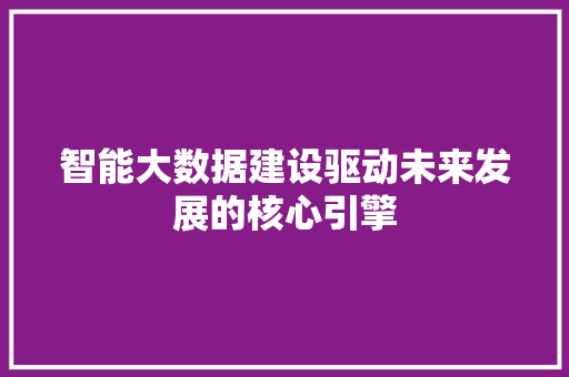 智能大数据建设驱动未来发展的核心引擎